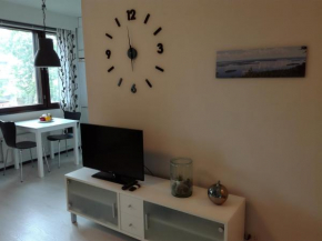 A lovely one-room apartment near the city centre. Vaasa